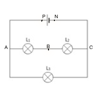 circuit dérivation