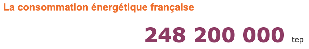 Consommation en France: Energie primaire