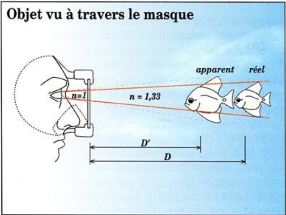 position et taille apparentes fausses pour le plongeur