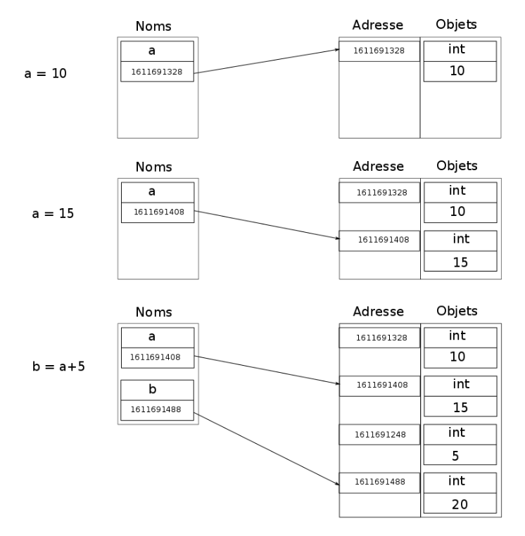 valeur, adresse et affectation