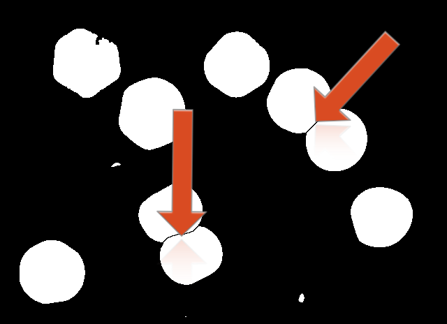 image segmentée: Binary: Watershed