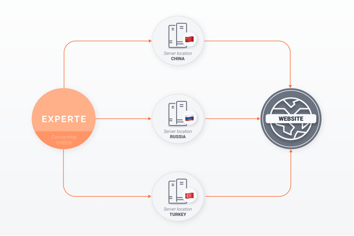 page du site experte.com