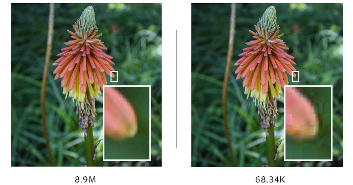 La compression réduit la taille du fichier, mais dégrade la qualité de l’image.