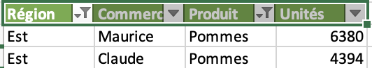 exemple de tableau filtré par Région ET par Produit