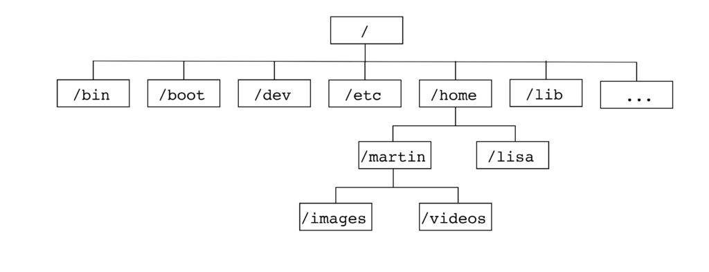 arborescence linux